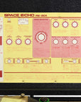 Roland RE-201 (Vintage)